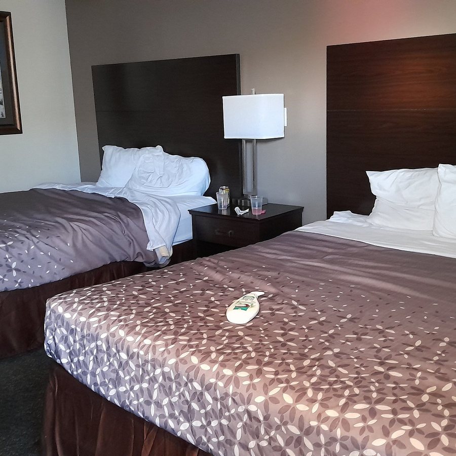 SureStay by Best Western Salt Lake City Downtown — Guest room
