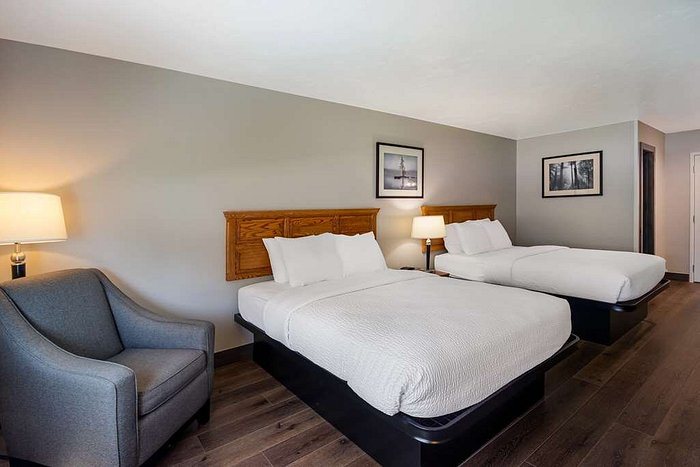 Surestay Plus By Best Western Covington — Guest room