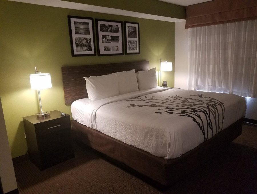 Surestay Plus By Best Western Mesa Superstition Springs — Guest room