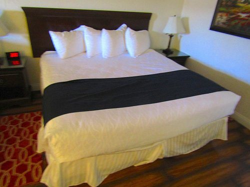 SureStay Plus By Best Western Susanville — Guest room
