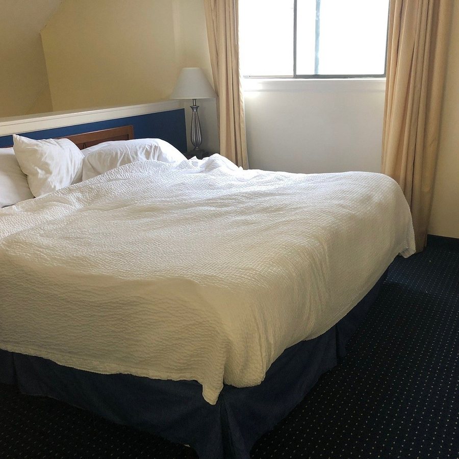 SureStay Studio by Best Western Charlotte Executive Park — Guest room