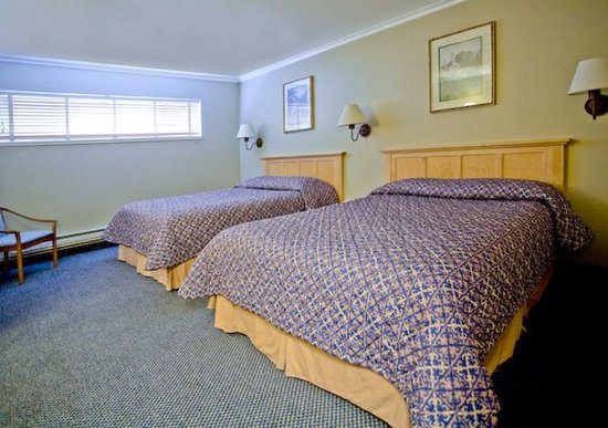Surf Motel and Gardens — Guest room