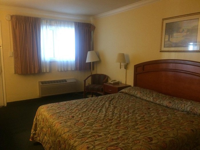 Surf Motel — Guest room