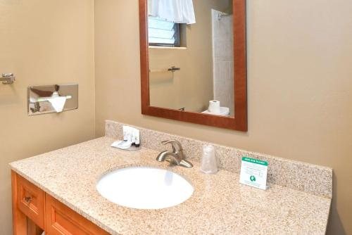 Svendsgaard s Danish Lodge Americas Best Value Inn — Bathroom