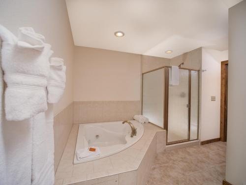 Taharaa Mountain Lodge — Bathroom