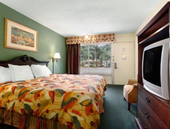 Tampa Inn Near Busch Gardens — Guest room