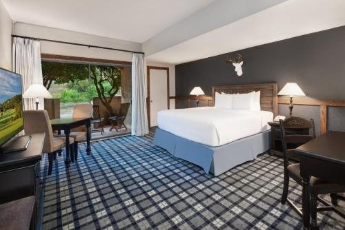 Tapatio Springs Hill Country Resort — Guest room