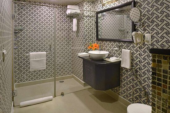 Taurus Sarovar Portico — Bathroom