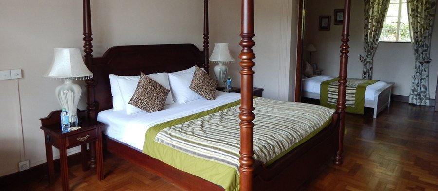 Tea Hills Lake — Guest room