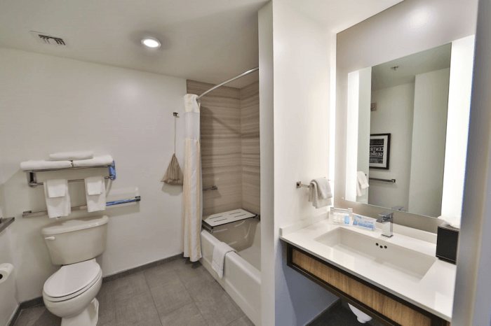 Tempo by Hilton Savannah Historic District — Bathroom