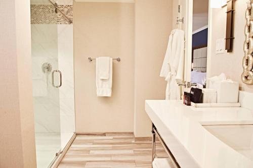 The Adolphus Autograph Collection — Bathroom