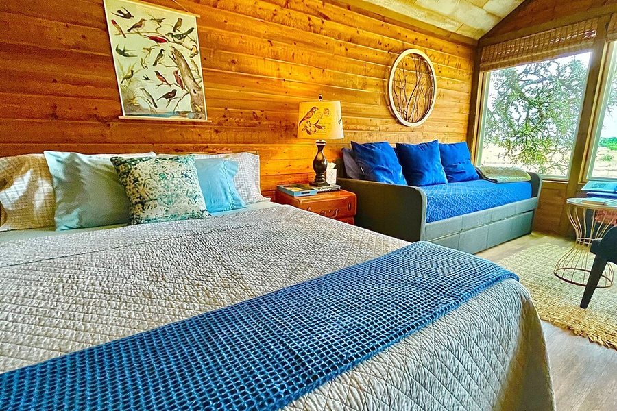 The Alexander At Creek Road — Guest room