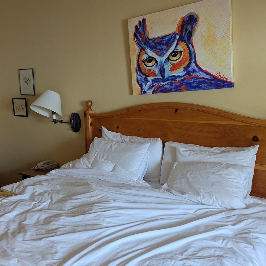 The Alpine House — Guest room