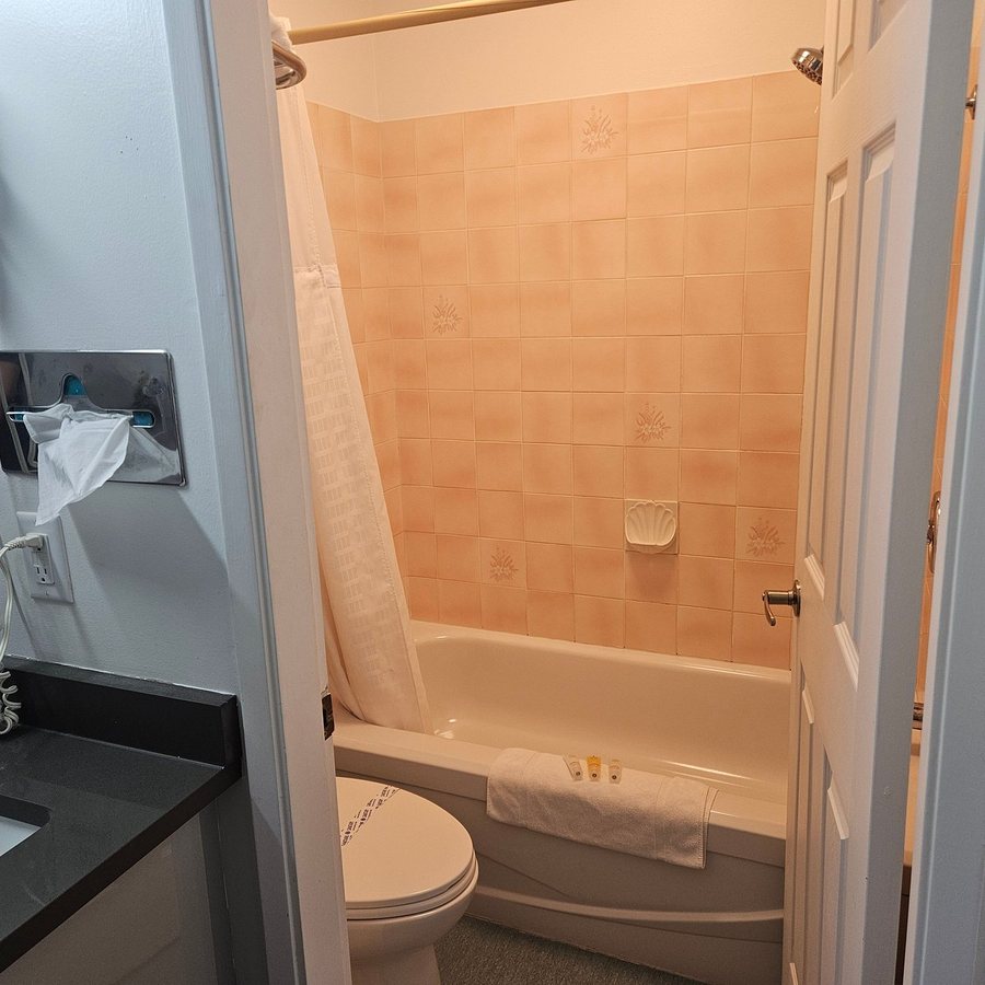 The Alpine Motel — Bathroom