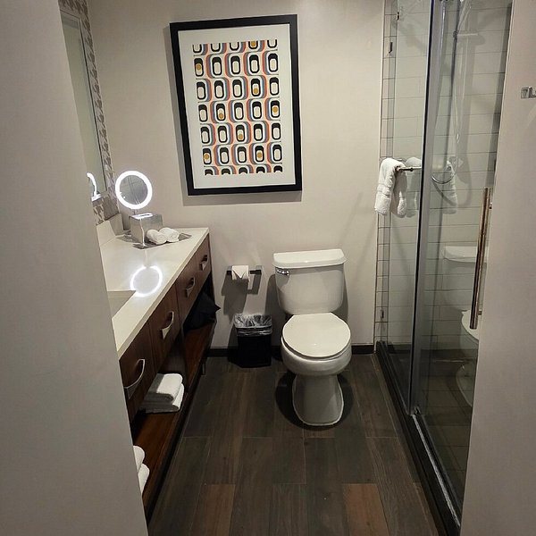 The American Hotel Atlanta Downtown Tapestry Collection by Hilton — Bathroom