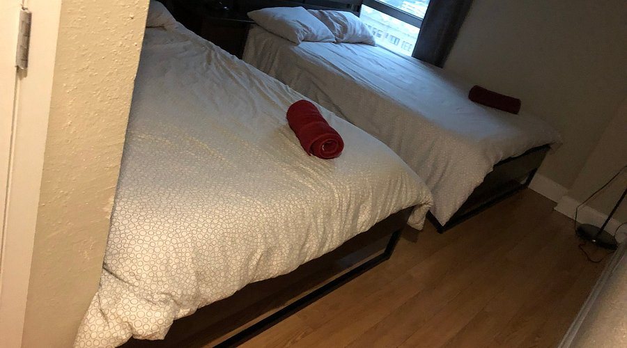 The Apple Theory on 19th — Guest room