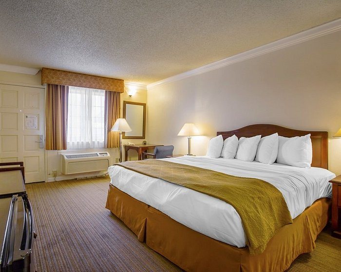 The Arbor Inn Monterey — Guest room