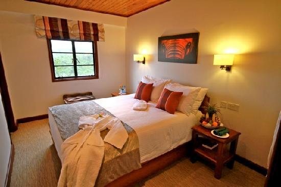 The Ark Lodge — Guest room