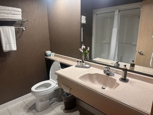 The Ashbrooke Hotel — Bathroom