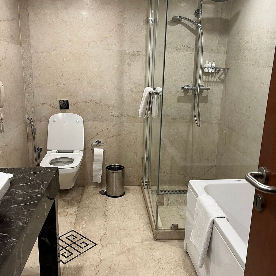 The Ashok — Bathroom