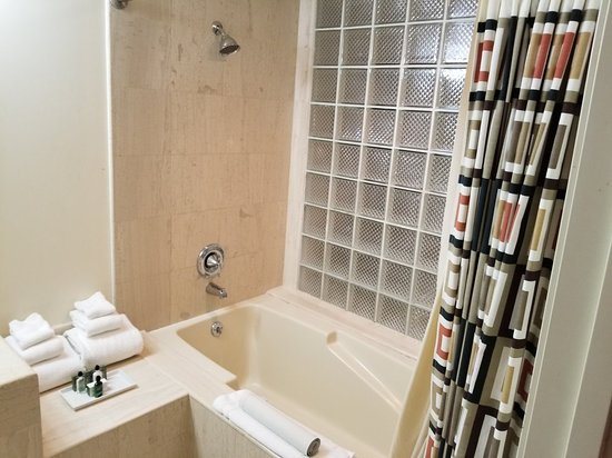 The Atheneum Detroit Michigan — Bathroom