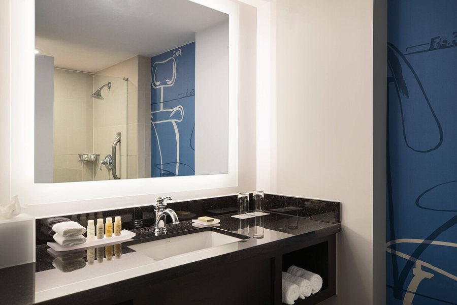 The Baronette Renaissance Detroit novi Hotel — Bathroom