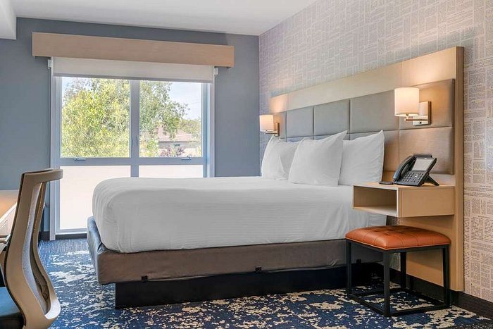 The Berkeley Hotel — Guest room