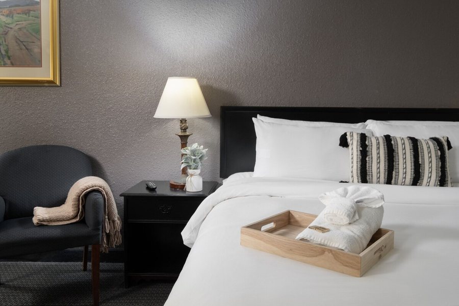 The Cactus Cove Inn And Suites — Guest room