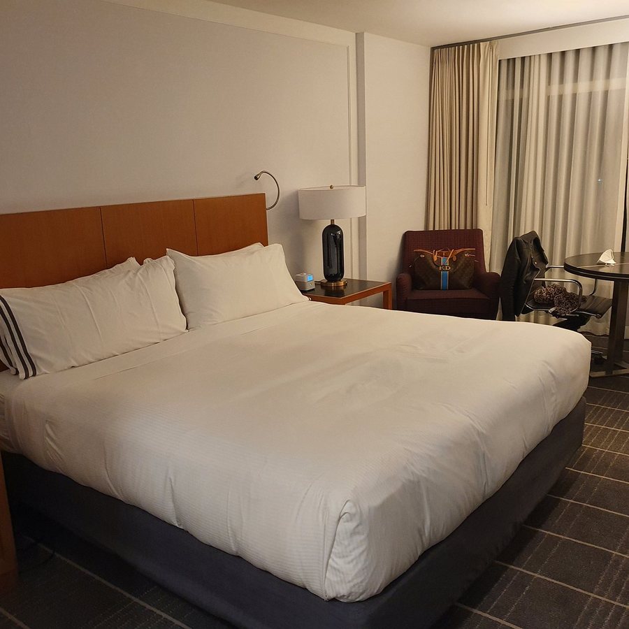 The Colonnade Hotel — Guest room