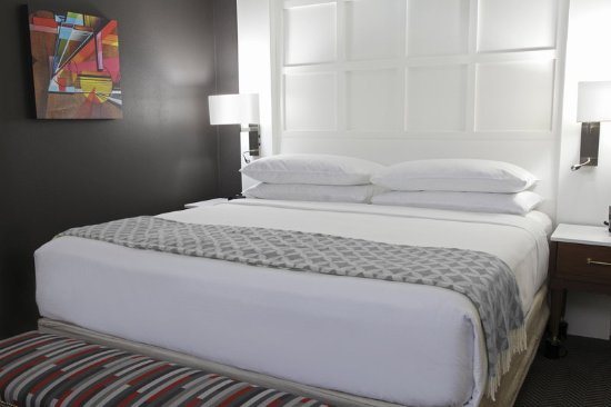 The Commonwealth — Guest room