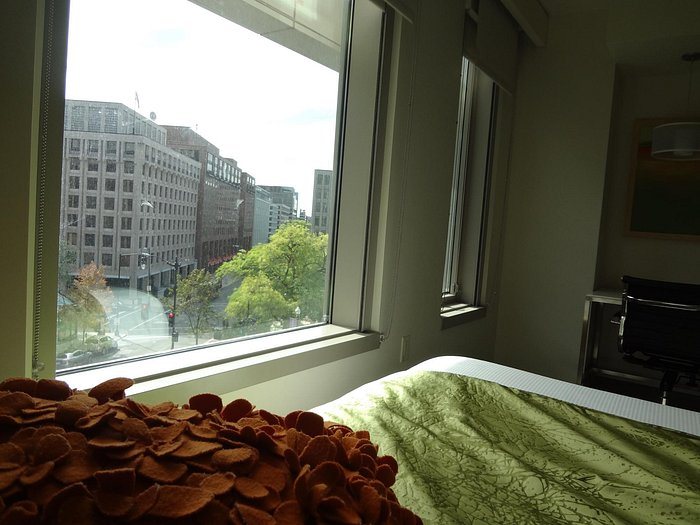 The Concordia — Guest room