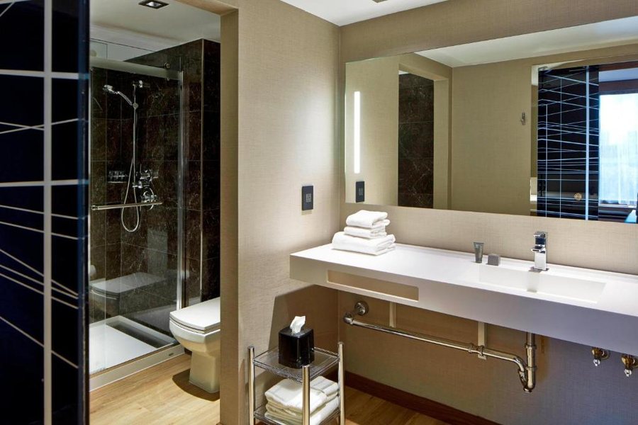 The Connally Hotel Downtown Atlanta an Ascend Collection Hotel — Bathroom