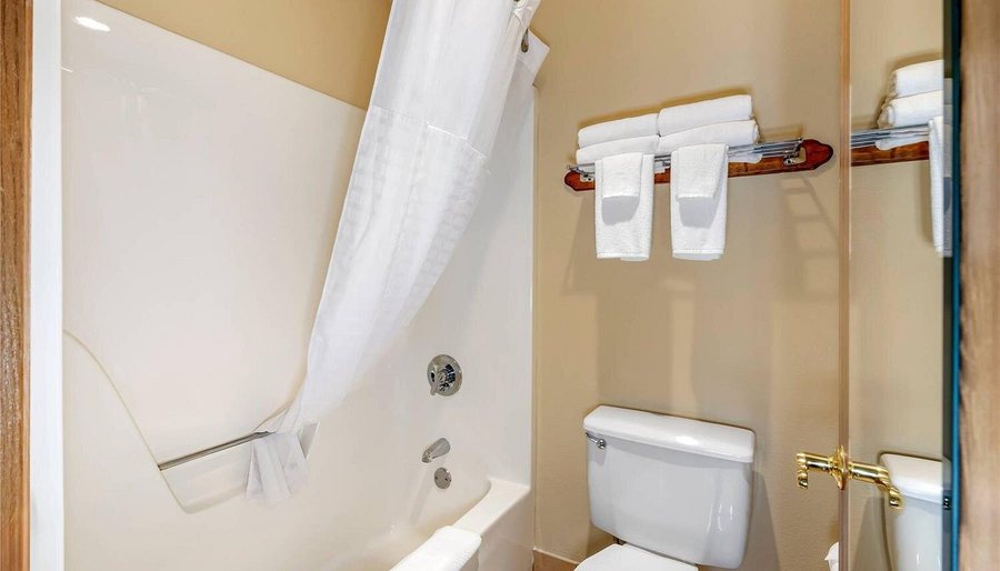 The Country Inn of Eureka Springs — Bathroom