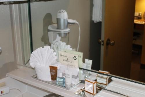 The Crockett Hotel — Bathroom