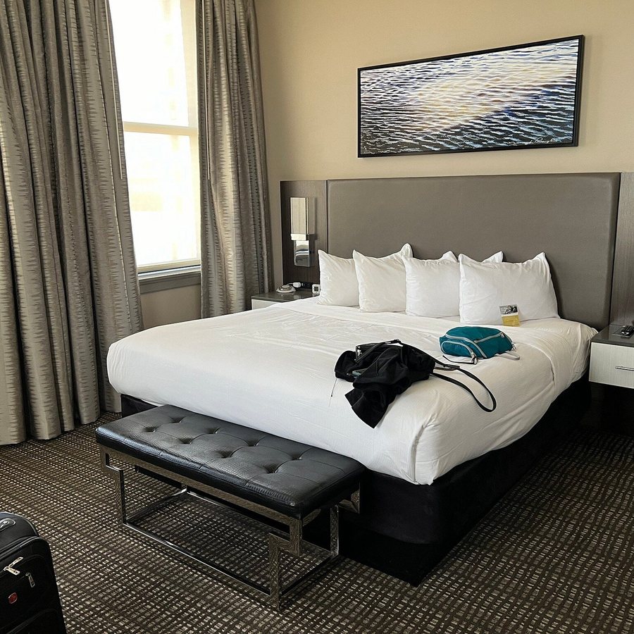 The Current Iowa Autograph Collection — Guest room