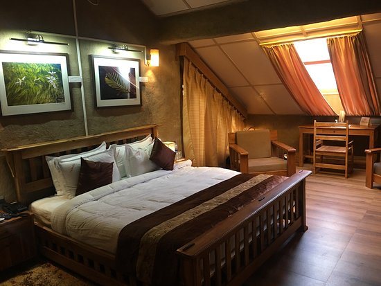 The Divine Hima — Guest room
