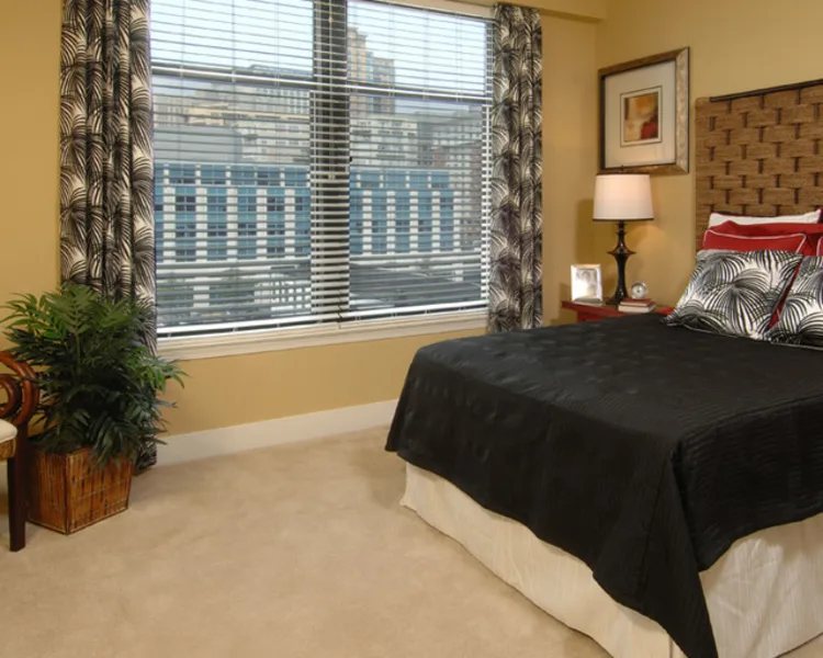 The Eden — Guest room