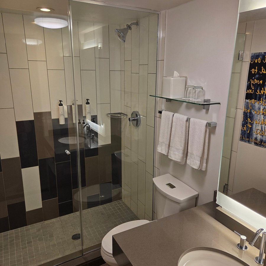 The Fifty Sonesta Hotel New York New York City New York — Bathroom