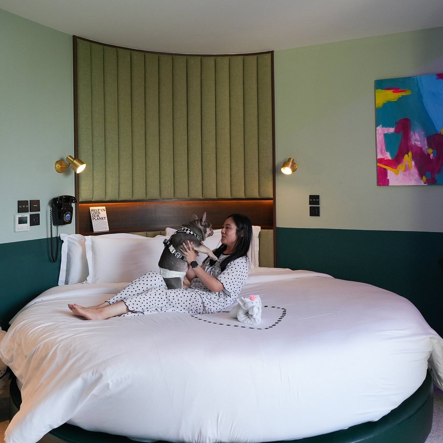 The Fig Lobby — Guest room