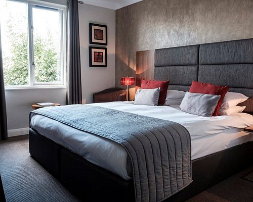 The Fox Goose Hotel Ealing — Guest room