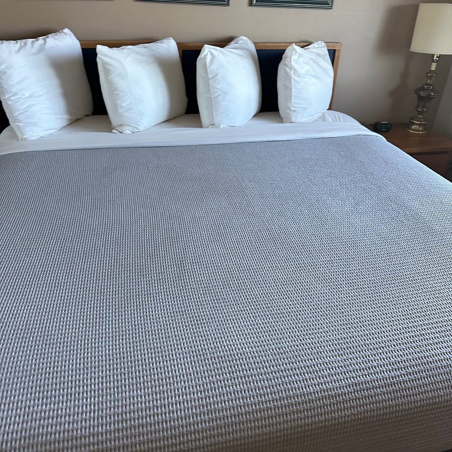 The Grey Gull — Guest room