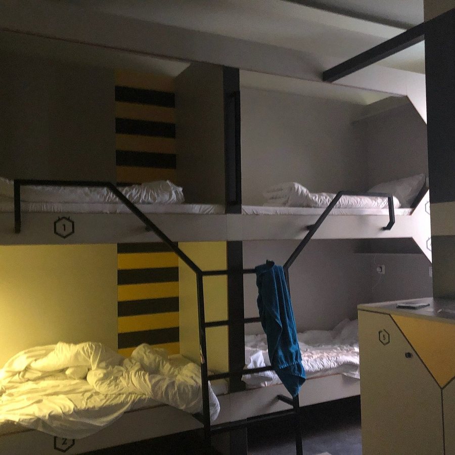 The Hive Party Hostel — Guest room