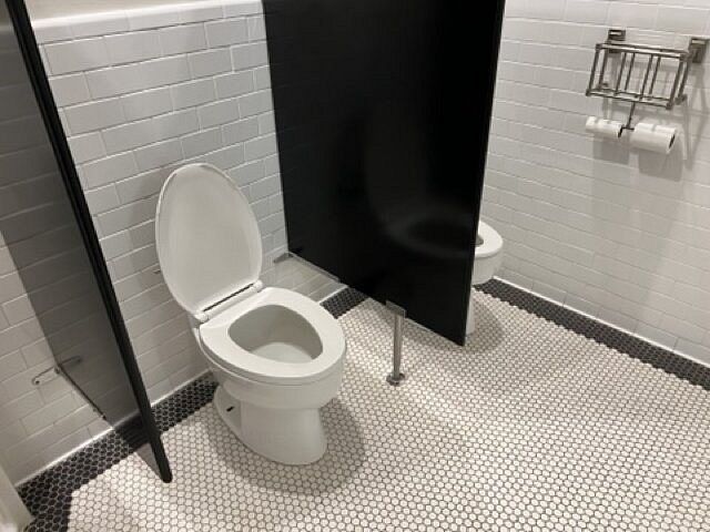 The Hotel Paisano — Bathroom