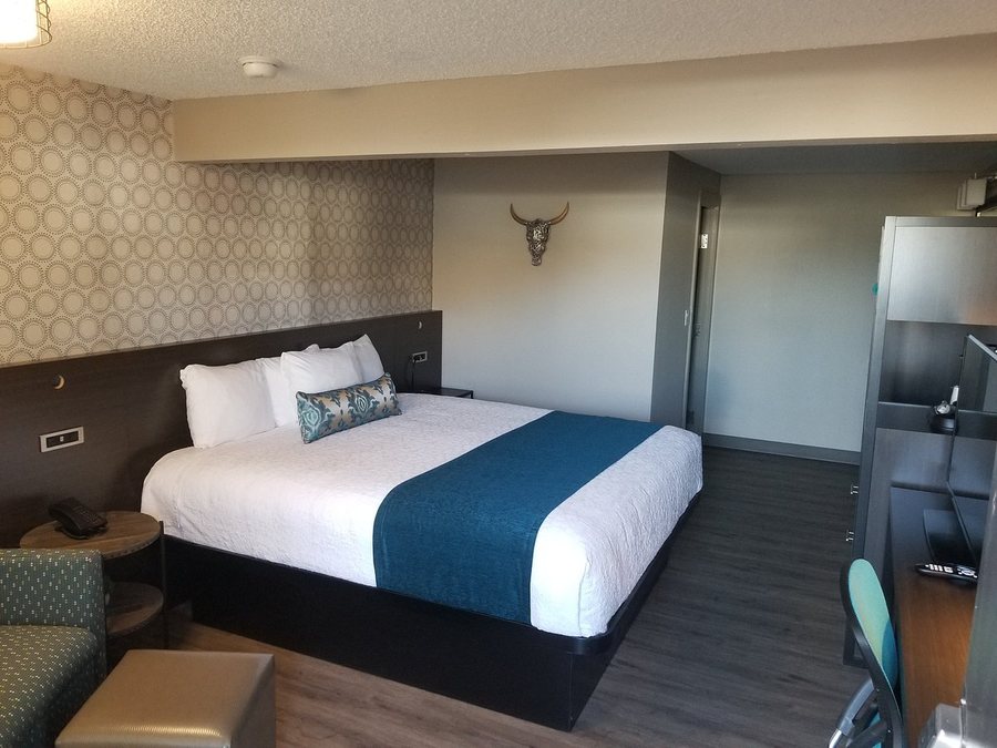 The Hotel Y — Guest room