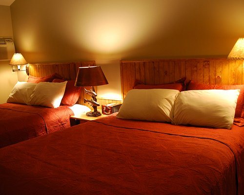 The Hungry Trout Resort — Guest room