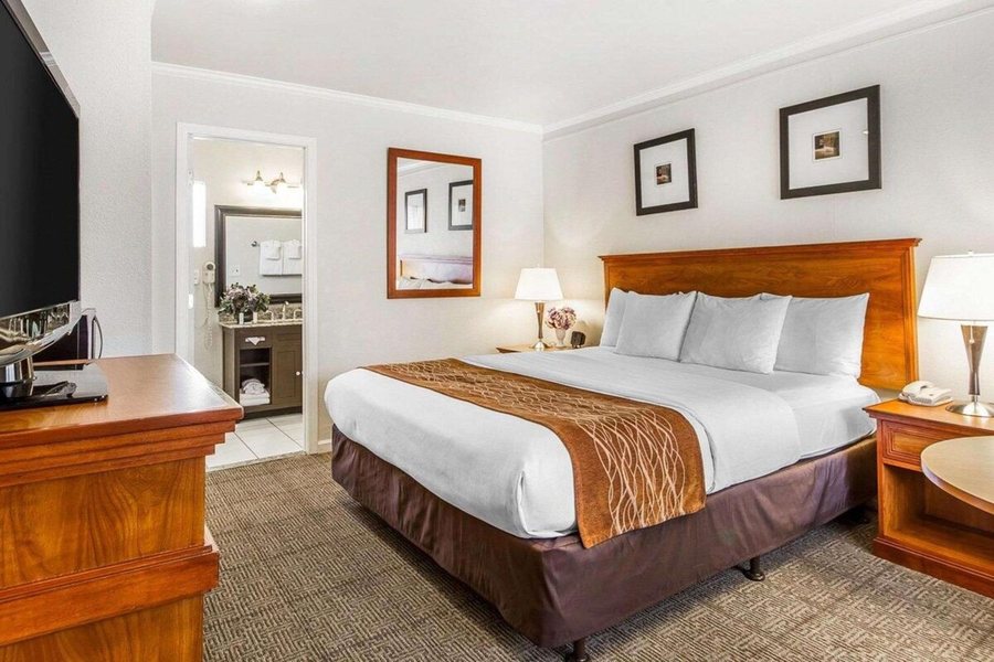 The Inn at 1252 Monterey — Guest room