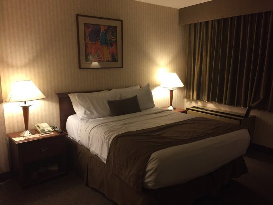 The Inn At Longwood Medical — Guest room