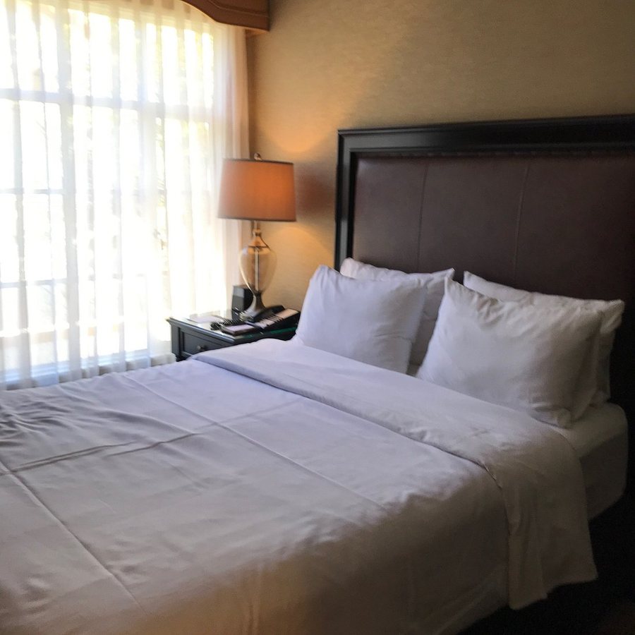 The Inn at UCLA Los Angeles California — Guest room
