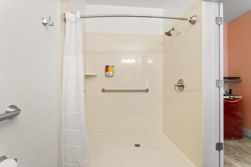 The Iris Motel — Bathroom
