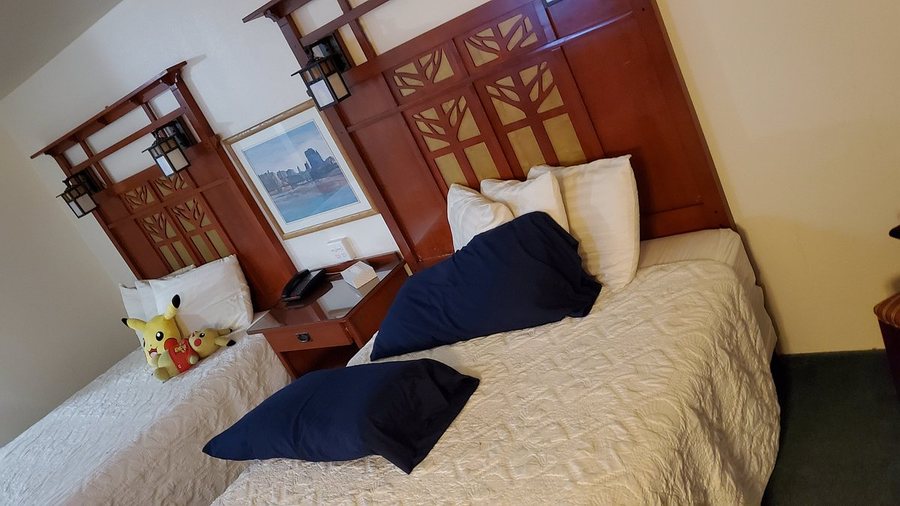 The Junction Hotel Hostel — Guest room